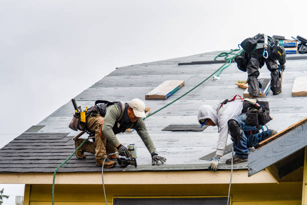 Professional Roofing technician working in Hall, NY